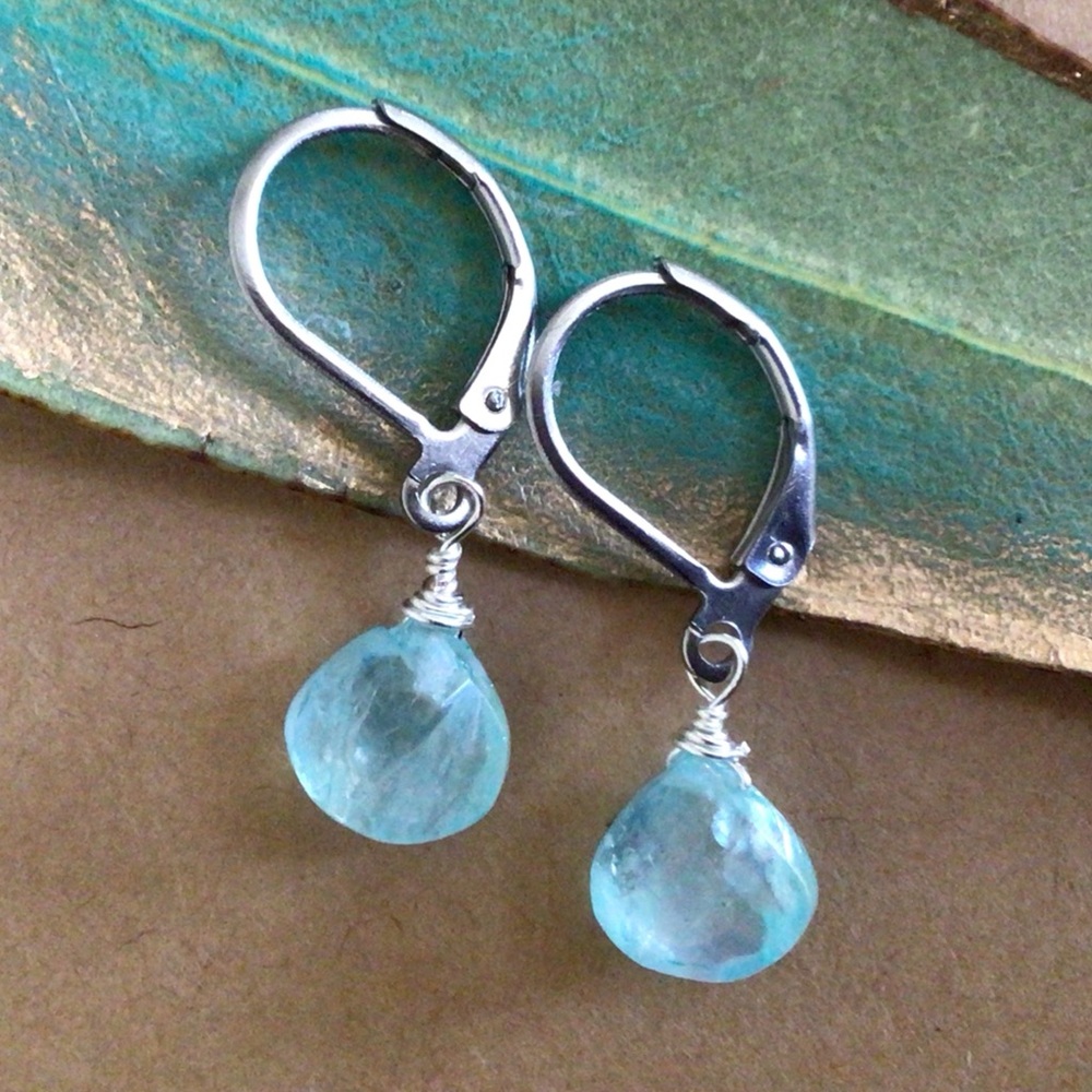 Natural Aquamarine Sundance Charm Earrings - Picture 2 of 12